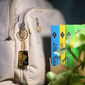 جاسویچی رزین با قابِ برنجیِ قائد شهید امت